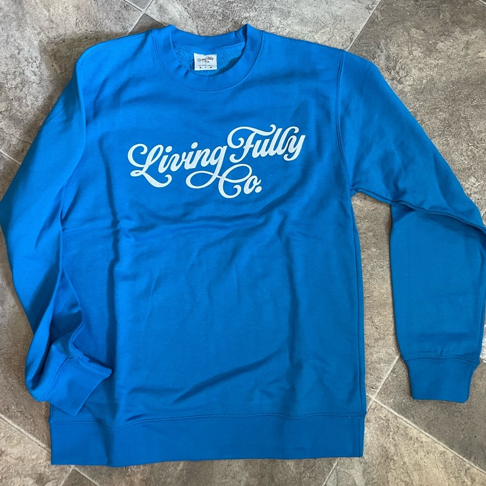 Brand new never worn Living Fully Co sweatshirt